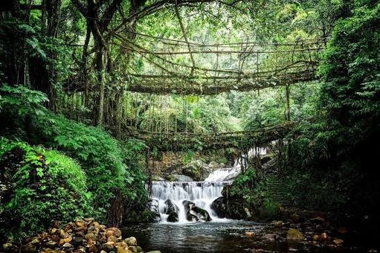 Meghalaya