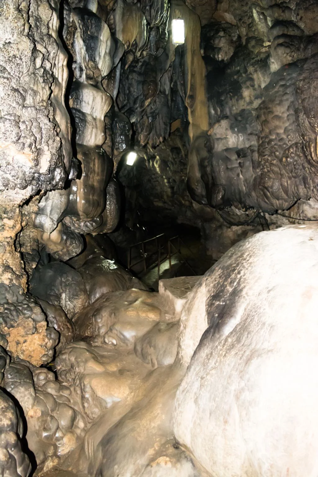 Gallery Slide 5